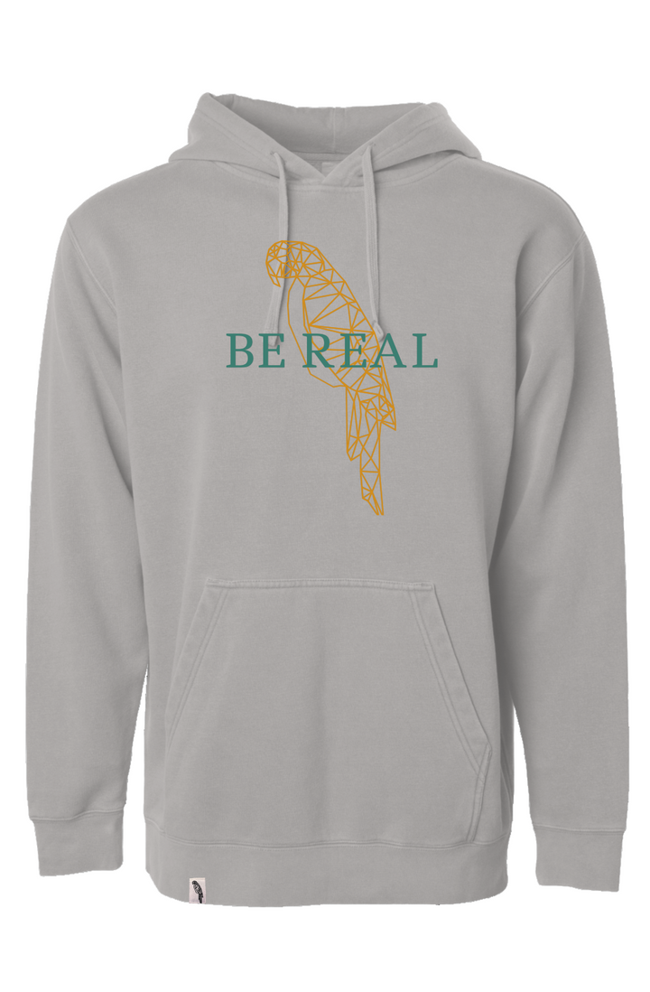 all seasons hoodie - be real